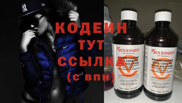 скорость Каменка