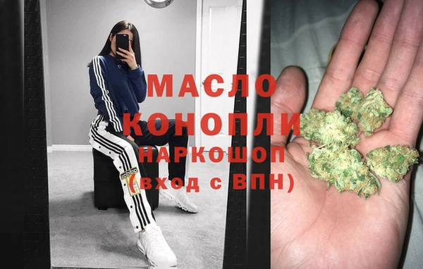 скорость Каменка