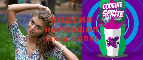 скорость Каменка