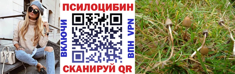 Псилоцибиновые грибы мухоморы  Купить закладки  Дальнереченск 